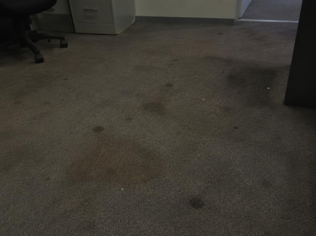 Stained and soiled commercial office carpet before cleaning